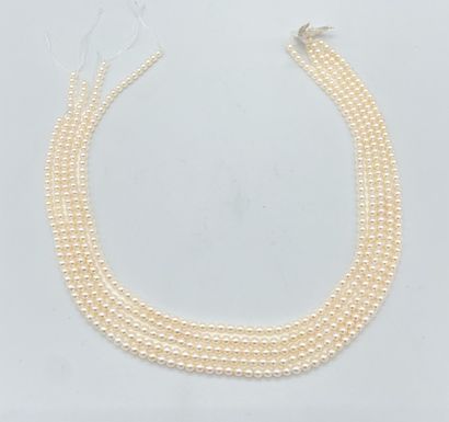 null Cinq rangs de perles akoya sur fils et sans fermoirs (diam. env. 3,5 - 4 mm...