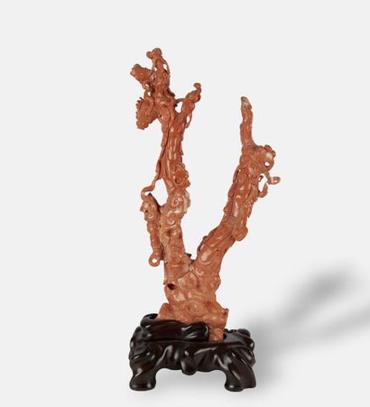null CHINA - 20th century
Red coral group with two branches carved with four young...