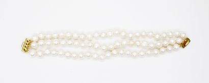 null Three-row pearl bracelet with gold-plated clasp