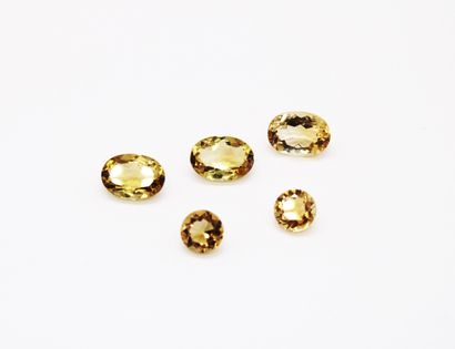 null *5 oval-cut citrines, unmounted 20 carats