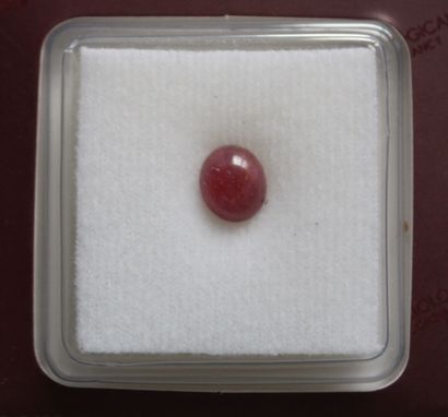 null *3.34 carats unmounted, unheated star ruby - CERTIFICATE GCI