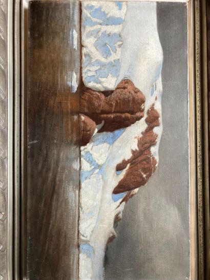 ÉCOLE XIXe ÉCOLE XIXe
Le glacier
Huile sur toile
24,5 x 42,5 cm
(Griffures)