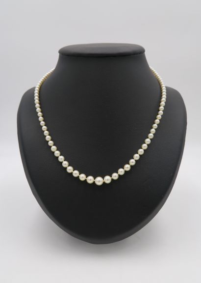 null Fallen pearl necklace with yellow gold cylindrical clasp
L. 46 cm