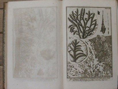 Johan Jacob SCHEUZER Herbarium diluvianum. Editio novissima, duplo Auctior. Lugduni...