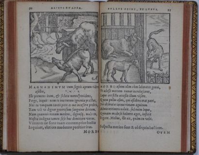 null 
[1573 PLANTIN] Gabriel FAERNE - Centum fabulae ex antiquis auctoribus delectae...