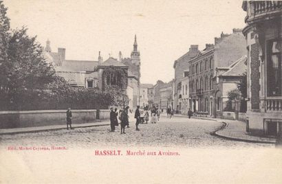 null 
HASSELT. 21 cartes postales dont plusieurs châteaux.

