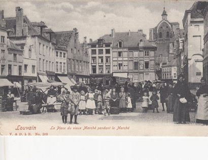 null 
LOUVAIN. Ensemble 51 cartes postales avant 1914.

L'abbaye du Parc, églises,...