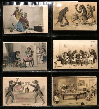 null 
ANTHROPOMORPHISM: dogs, cats... Set of 192 postcards.
 Gathered in an in-4...