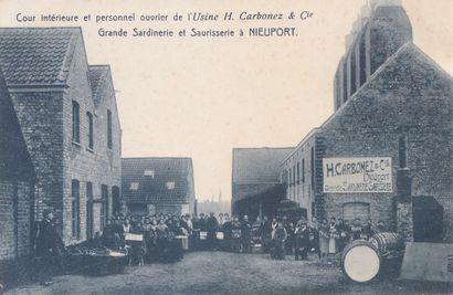 null 
NIEUPORT. «Grande Sardinerie et Sausserie - Usine H. Carbonez & Cie». 4 cartes...