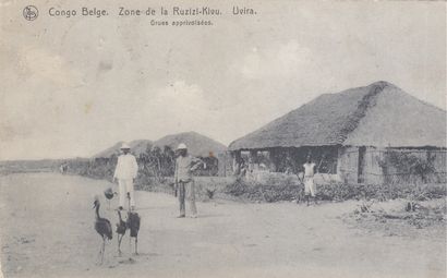 null 
CONGO BELGE. Environ 210 cartes postales : types, missions, vues.

