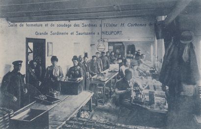 null 
NIEUPORT. «Grande Sardinerie et Sausserie - Usine H. Carbonez & Cie». 4 cartes...