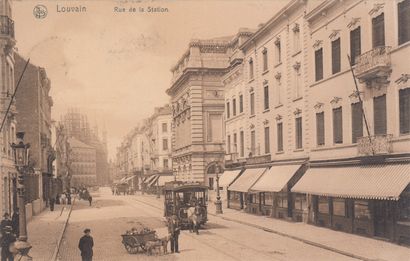 null 
LOUVAIN & CHÂTEAU D'HÉVERLÉE (8). Set of 57 postcards, various periods.

