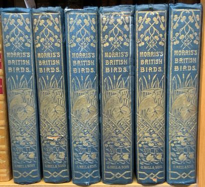 null 
Francis Orpen MORRIS - A History of British birds. Second edition. Volume I...