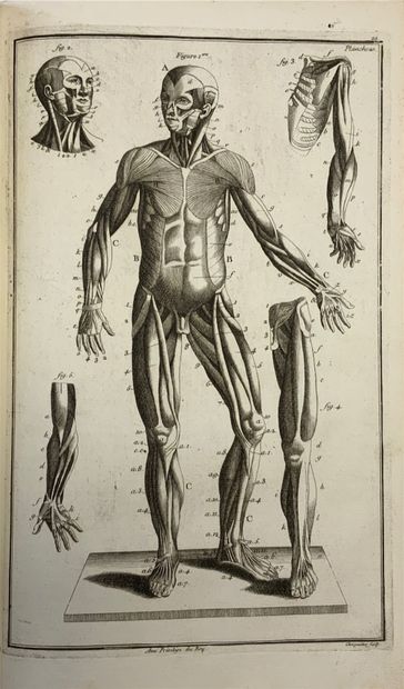 null 
François-Michel DISDIER - Exposition exacte ou tableaux anatomiques en tailles-douces...
