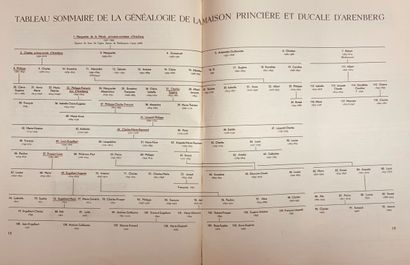 null 
Édouard LALOIRE - Généalogie de la Maison princière et ducale d'Arenberg (1547-1940).
Bruxelles,...