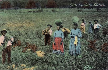 null 
AFRO-AMÉRICAINS, Africains. Ensemble environ 410 cartes postales, époques diverses.

Enfants...