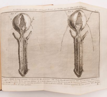 null 
Jean-Claude-Adrien HELVETIUS / JOHN SMITH - 2部作品的拍卖，以及外科学院 "回忆录 "的前4卷。

- Jean-Claude-Adrien...