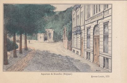 null 
BRUXELLES. Environ 130 cartes postales, époques diverses. 

