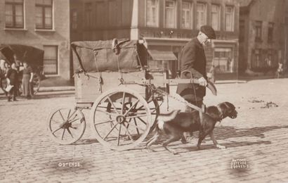 null 
[ATTELAGES OSTENDE] ANTONY - Dogs harnesses in Ostend. 5 photo-cards signed...