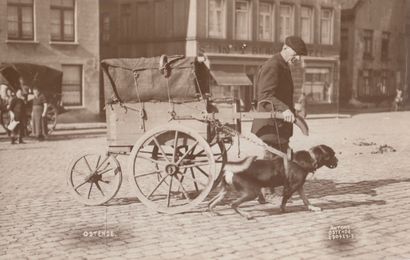 null 
[ATTELAGES OSTENDE] ANTONY - Attelages de chiens à Ostende. 5 photos-cartes...