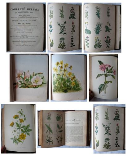 Nicholas CULPEPER The Complete Herbal [...]. New edition. London, Virtue and Co,...