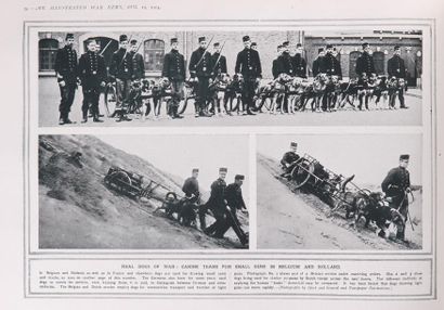 null 
THE ILLUSTRATED WAR NEWS. Being a pictorial record of the Great War. Parts...