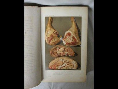 [J. GOUFFÉ ] Le Livre de cuisine. [Paris], [Hachette], [fin XIXe]. Grand in-8, demi-basane...