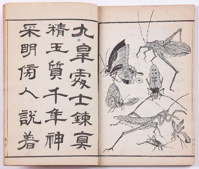 null 
[JAPON] TANI BUNCHÔ - Tani Bunchô gafu [Album de dessins de Bunchô ou Buncho's....