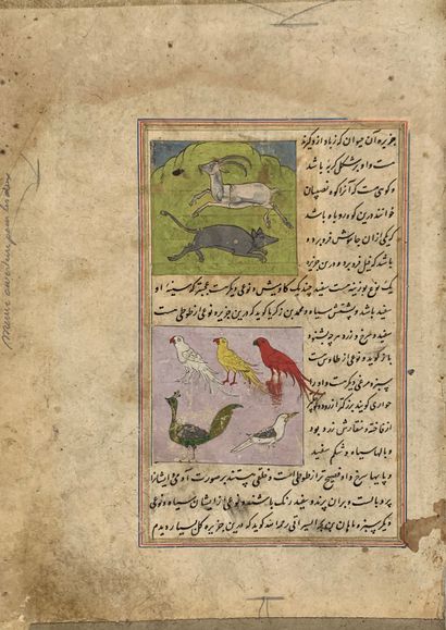 Zakariya ibn Muḥammad Qazwini,1203-1283, Aja'ib Al-Makhluqat (Livre des Merveilles)...