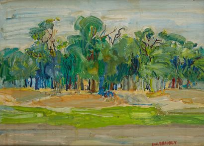 null Paul BRAUDEY (Born in 1930)


View of the Forest of Saint-Germain en Laye


Oil...