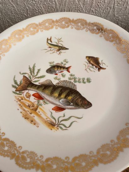 null LIMOGES

Part of table service including plates, soup plates, dessert plates,...