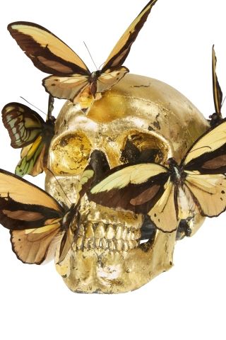 null Philippe PASQUA (Born in 1965)

Head with butterflies

Resin, plexiglass, naturalized...