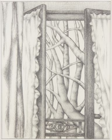 Georges BAUQUIER (1910-1997) 
Study of branches...