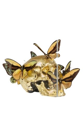 null Philippe PASQUA (Born in 1965)

Head with butterflies

Resin, plexiglass, naturalized...