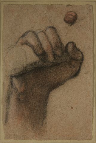 null 19th century school 

Hand study 

Pencil drawing, charcoal, red chalk 

22,5...
