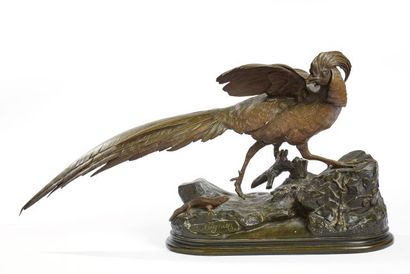 null Jules MOIGNIEZ (1835-1894)

Pheasant and lizard on a terrace 

Bronze with brown...