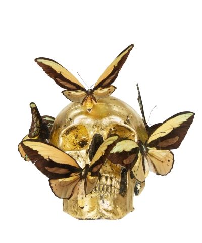 null Philippe PASQUA (Born in 1965)

Head with butterflies

Resin, plexiglass, naturalized...