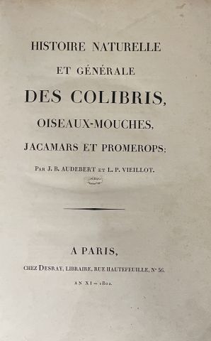 null AUDEBERT, Jean-Baptiste/ VIEILLOT, Louis-Pierre. Golden birds or birds with...