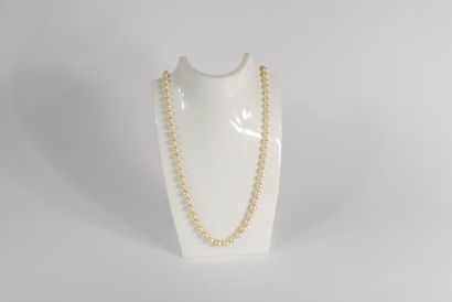 Necklace of cultured pearls, clasp in 18K...
