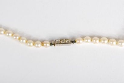 null Necklace of cultured pearls, clasp in 18K white gold 750/000 decorated with...