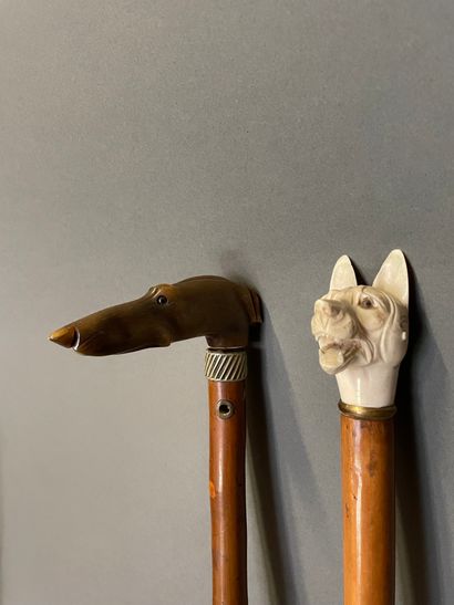 null Lot including two canes with dog heads in composition and horn