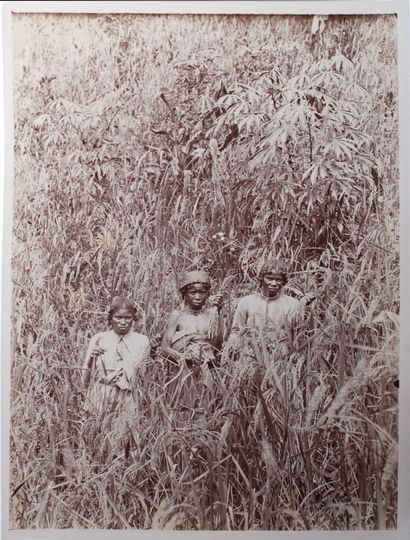 null Anonymous, ca. 1900

Eight photographs around Madagascar showing the Ivondrona...