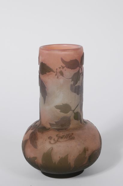 null Gallé

Vase decorated with flowering branches and foliage on a pale pink background...