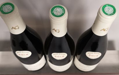 null 3 bouteilles SAINT VERAN - André GOIGHT 2014



Nous informons les acheteurs...