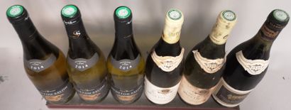 null 6 bouteilles MENETOU SALON DIVERS A VENDRE EN L'ETAT