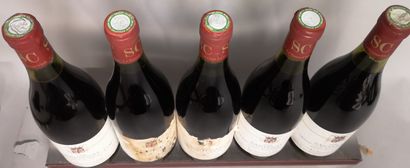 null 5 bouteilles SANTENAY "Grand Clos Rousseau"- SAVOUR Club 1988 

Etiquettes légèrement...