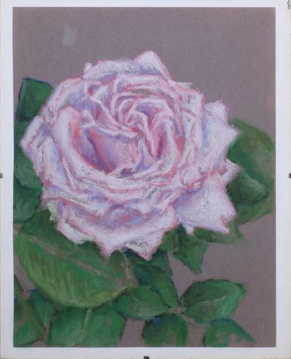 null * Déborah HANSON-MURPHY (1931-2018) 

Etudes de fleurs 

Sept pastels non signés

32...