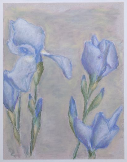 null * Deborah HANSON-MURPHY (1931-2018) 

Studies of flowers 

Seven unsigned pastels

32...