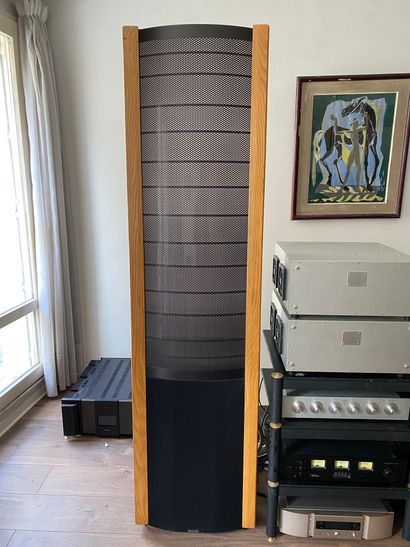 null MARTIN LOGAN LTD 

Paire d'enceintes colonne Martin Logan 

Modèle THE QUEST

H...