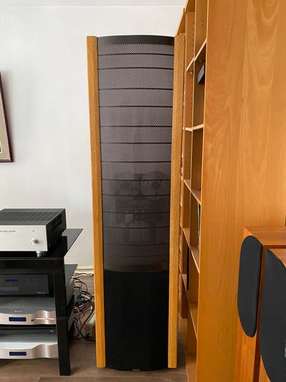 null MARTIN LOGAN LTD 

Paire d'enceintes colonne Martin Logan 

Modèle THE QUEST

H...